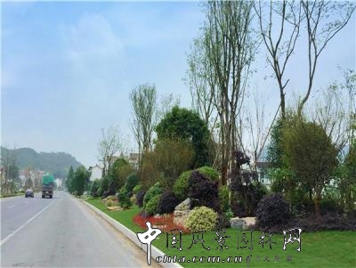 杭州市領導檢查建德320國道精品示范道路建設工程