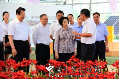 中共中央政治局委員、中央統戰部部長孫春蘭蒙草調研