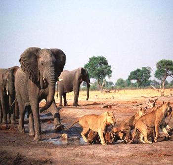 生物多樣性,讓你的景觀設計更有活力