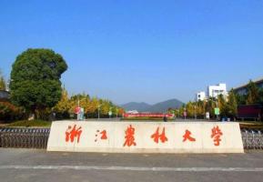 浙江農(nóng)林大學(xué)：用藝術(shù)助力鄉(xiāng)村文化振興