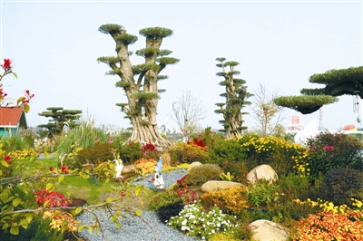 花境行業(yè)發(fā)展需培養(yǎng)專(zhuān)業(yè)人才