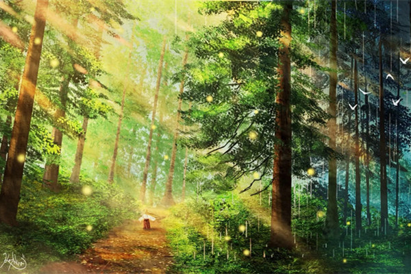 日本研究表明“數字森林浴”可促進身心健康