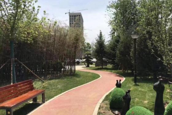 石家莊：構建“園林+步道”全民健身新格局