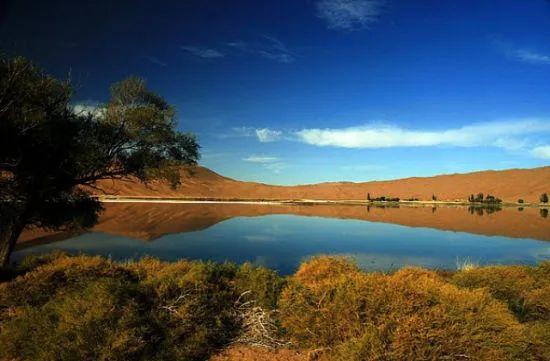 荷蘭世園會推介內蒙古阿拉善盟