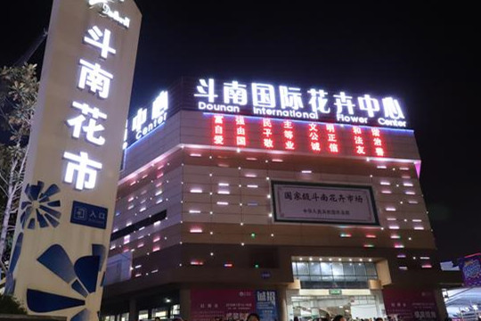 云南花卉產值突破千億元大關 增速全球第一