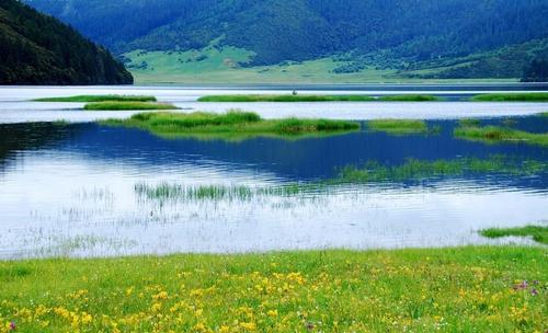 我國首批國家公園設立一周年，成效如何？