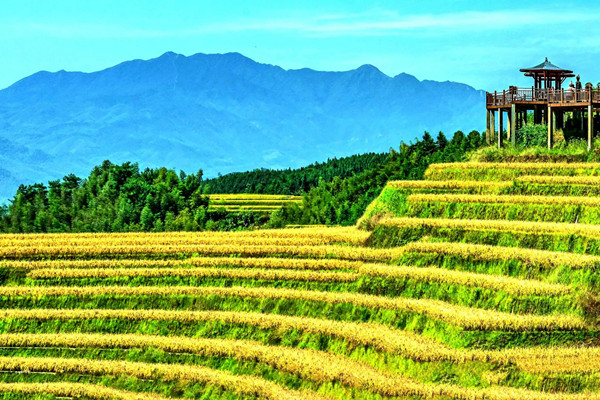 我國新增4處灌溉工程遺產 聚傳統智慧顯生態價值