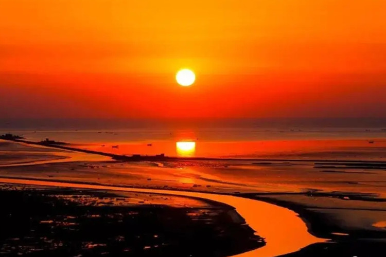 黃河口國家公園正積極爭取盡快設(shè)立