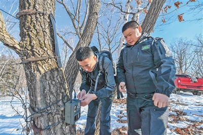 東北虎豹國家公園：科技守護 和諧共生