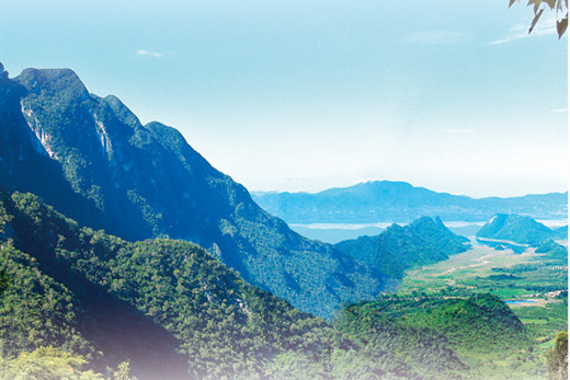 海南熱帶雨林國家公園：推進生態搬遷修復雨林生態