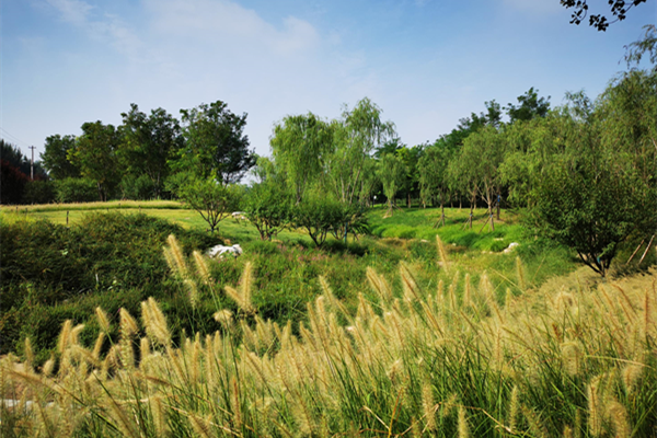北京：南苑濕地公園將承載國家文化展示功能