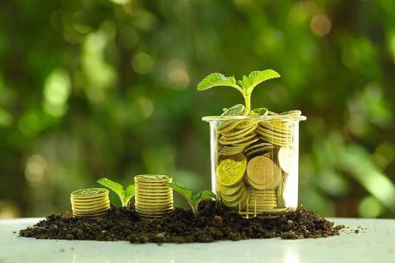 聯(lián)合國(guó)環(huán)境規(guī)劃署發(fā)布全球自然財(cái)政狀況報(bào)告