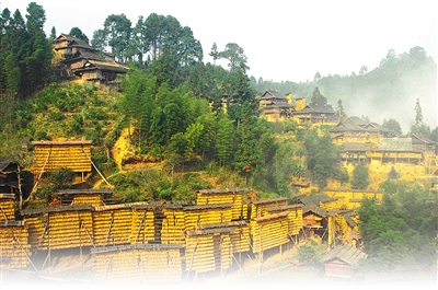 農(nóng)業(yè)文化遺產(chǎn)——為保護(hù)生物多樣性貢獻(xiàn)中國(guó)智慧