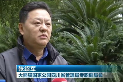 大熊貓國(guó)家公園四川省管理局專職副局長(zhǎng)被查