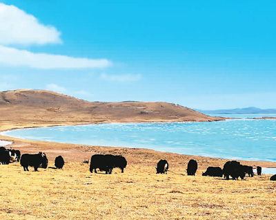 中國(guó)這樣優(yōu)化自然保護(hù)地體系