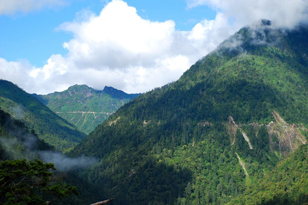 云南將創(chuàng)建4個國家公園