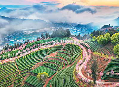 海峽兩岸專家共話鄉(xiāng)村文旅發(fā)展