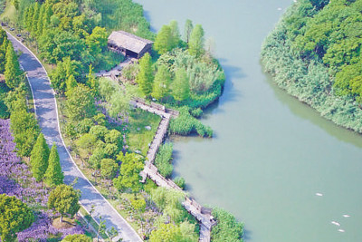 看中國(guó)的國(guó)際濕地城市如何留住濕地留住美