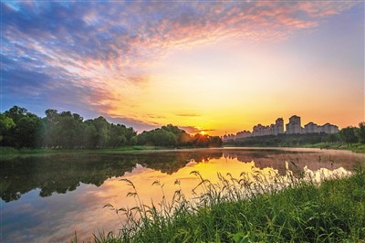 修復(fù)濕地 中國(guó)發(fā)揮重要作用