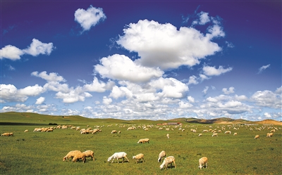 2022年度草原草業熱點新聞盤點