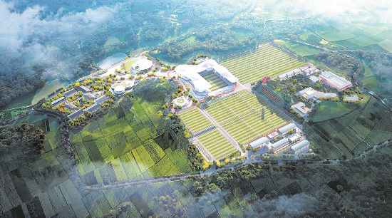 四川最大足球公園明年亮相