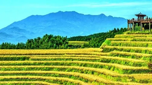 休閑農業如何深挖鄉村特色？