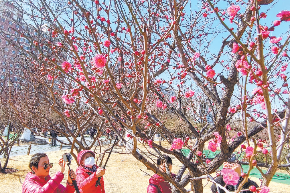 北京：百座無界公園迎來首個春天