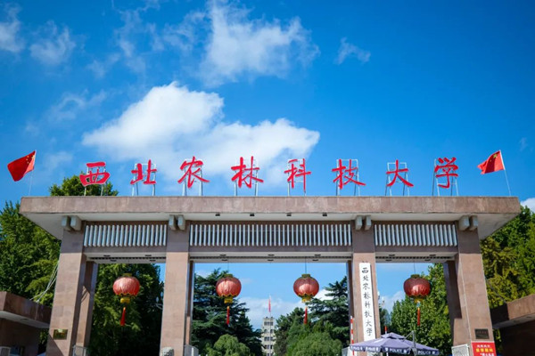 西北農(nóng)林科大風(fēng)景園林藝術(shù)學(xué)院男生偷拍女廁被拘