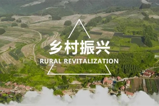 代表委員熱議兩會：有力有效，推進(jìn)鄉(xiāng)村全面振興