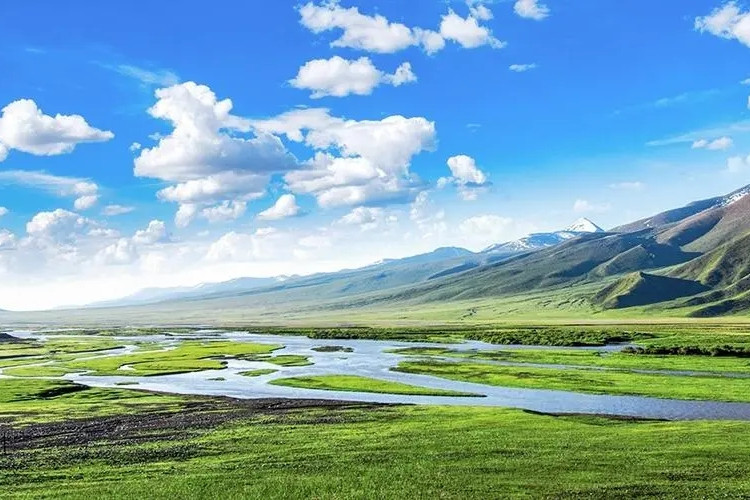 我國國家公園建設取得重要成果 生態(tài)保護成效明顯